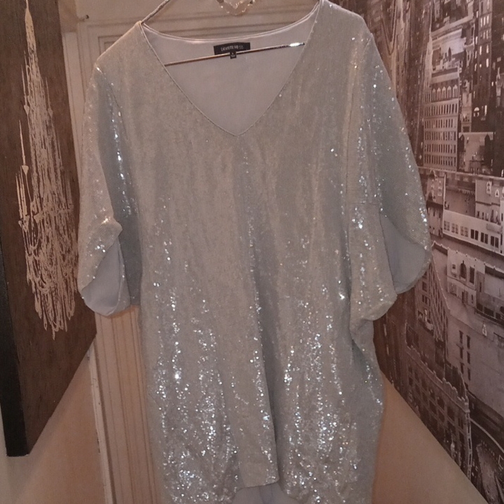 Express Silver Sequin Blouse
